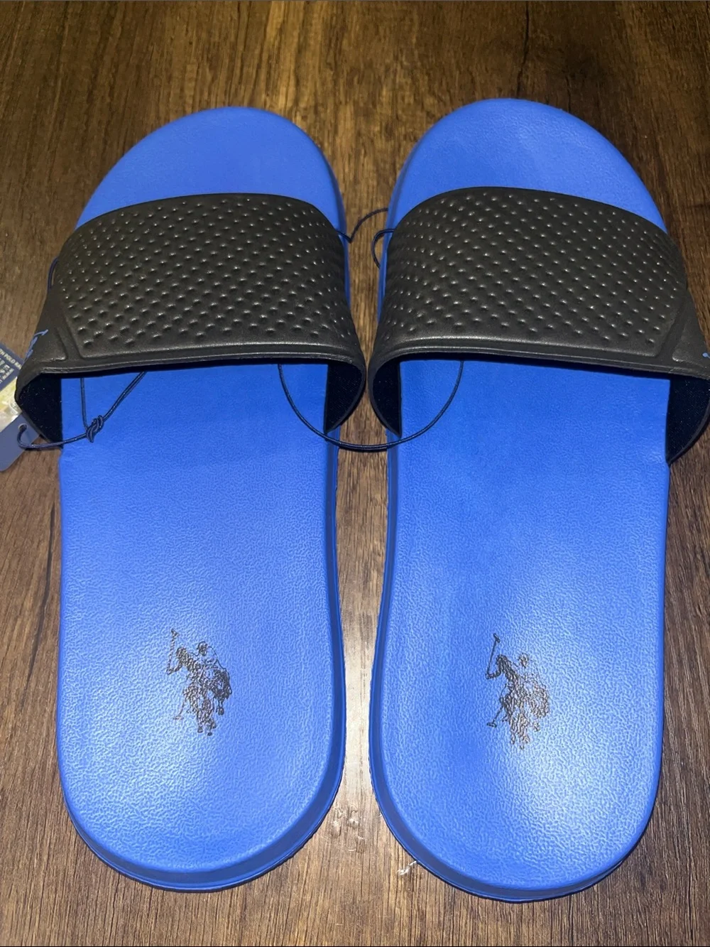 U.S. Polo Assn. bold blue